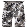 Men's Shorts BRANDIT - BDU Ripstop -Fashionable street clothing 2019 15 vorne