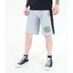 Men's Shorts SANTA CRUZ - CIRCULATE BASKETBALL - GREY