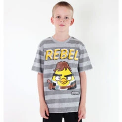 Boys' T-shirt TV MANIA - Angry Birds / Star Wars - Grey