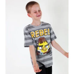 Boys' T-shirt TV MANIA - Angry Birds / Star Wars - Grey -Fashionable street clothing 76544 4