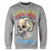 Men's Sweatshirt Guns N' Roses - Appetite For Destruction Skull Painting - Grey -Fashionable street clothing aaawwwy011