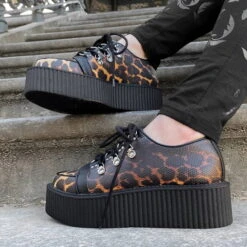 Women's Shoes KILLSTAR - Scratched Out -Fashionable street clothing scratched out creepers leo b000 20
